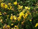Slievecoiltia- 072